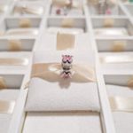 Charm Clip Mariposas Rosas