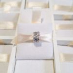 Charm Clip Mariposas Y Cristales