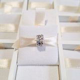 Charm Clip Mariposas Y Cristales