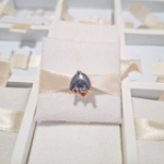 Charm Niffler Animales Fantásticos